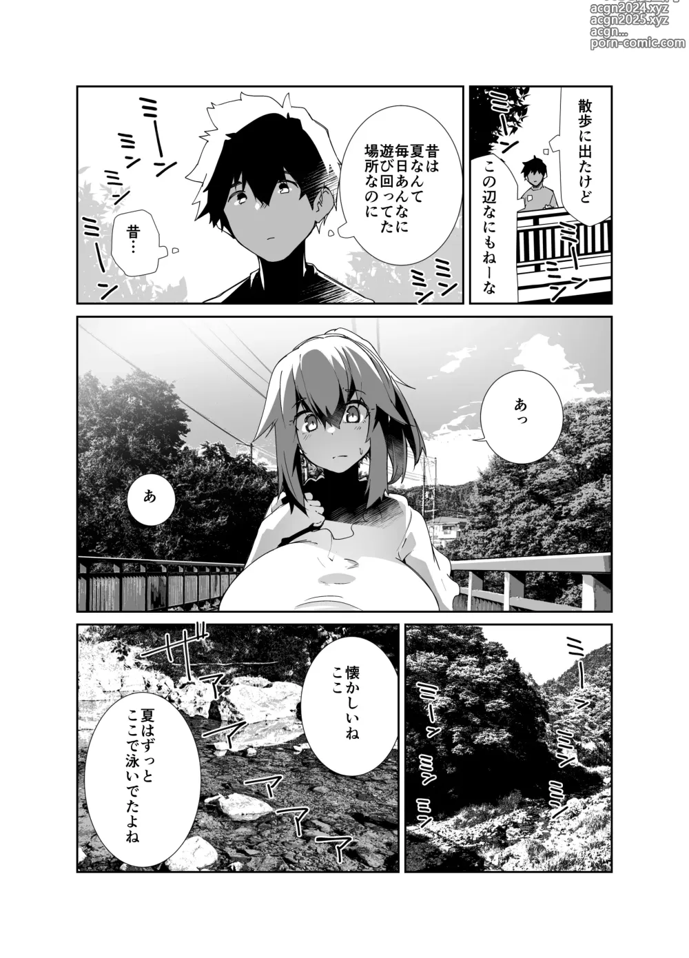 Page 5 of doujinshi Natsu No Owari