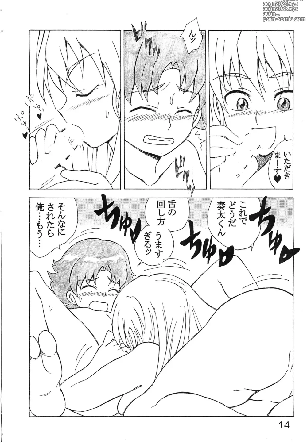 Page 13 of doujinshi Watashi, Shinyuu no Otouto o Lock-on shichatteru Ikenai Precure Joshi nan desu