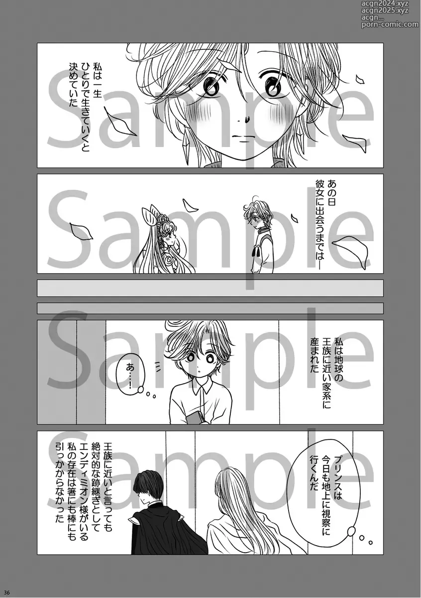 Page 12 of doujinshi (Night of Gales Night of Gales][[7 Tsuki hakkō] shinkan sanpuru ②(Bishoujo Senshi Sailor Moon)