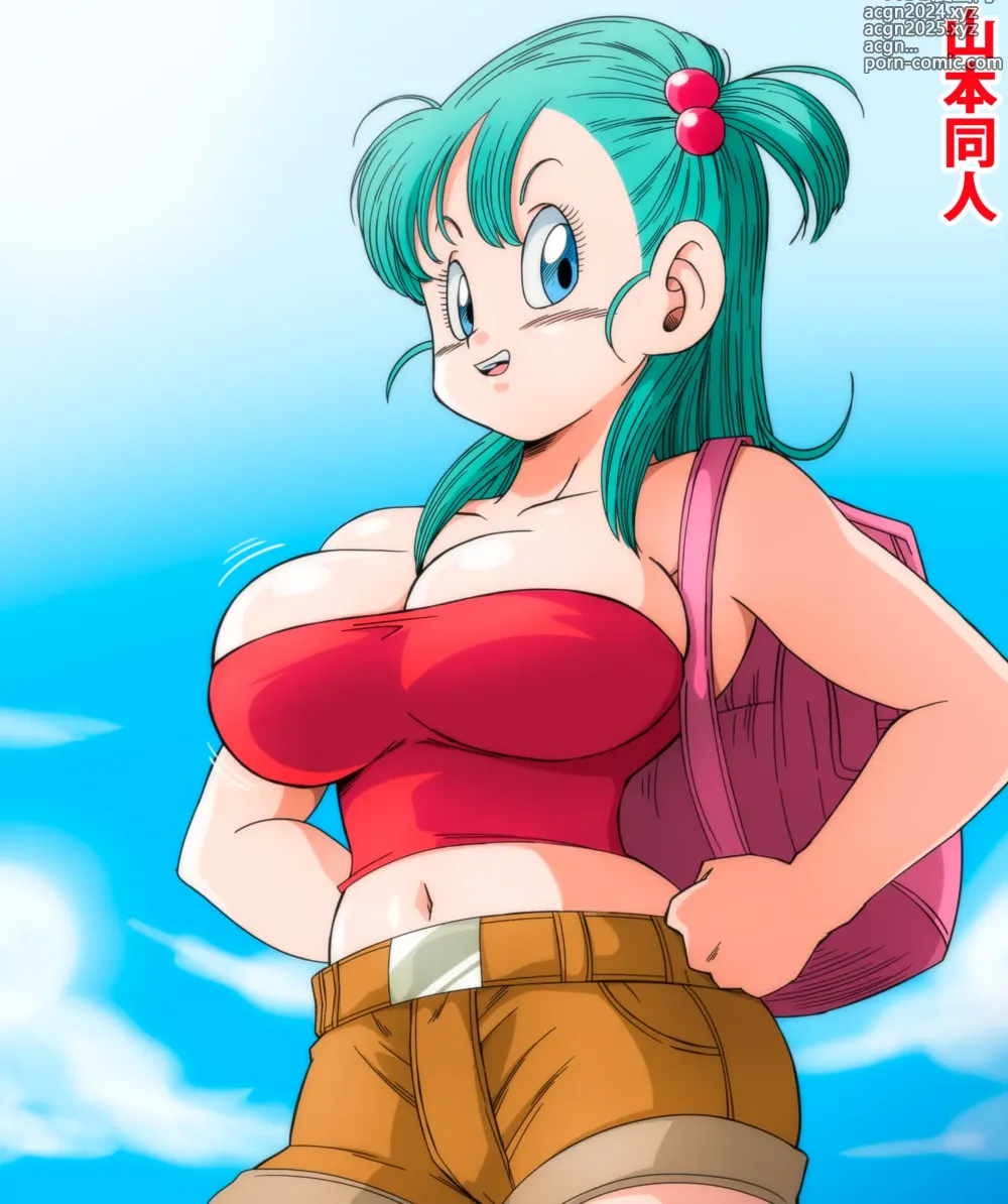 Page 18 of doujinshi Dagon Ball - Bulma e os Patrulheiros