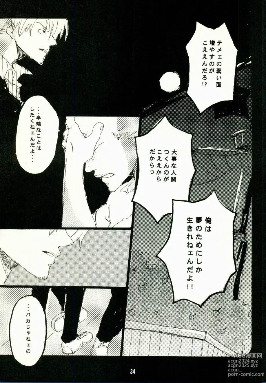 Page 31 of doujinshi Canaan