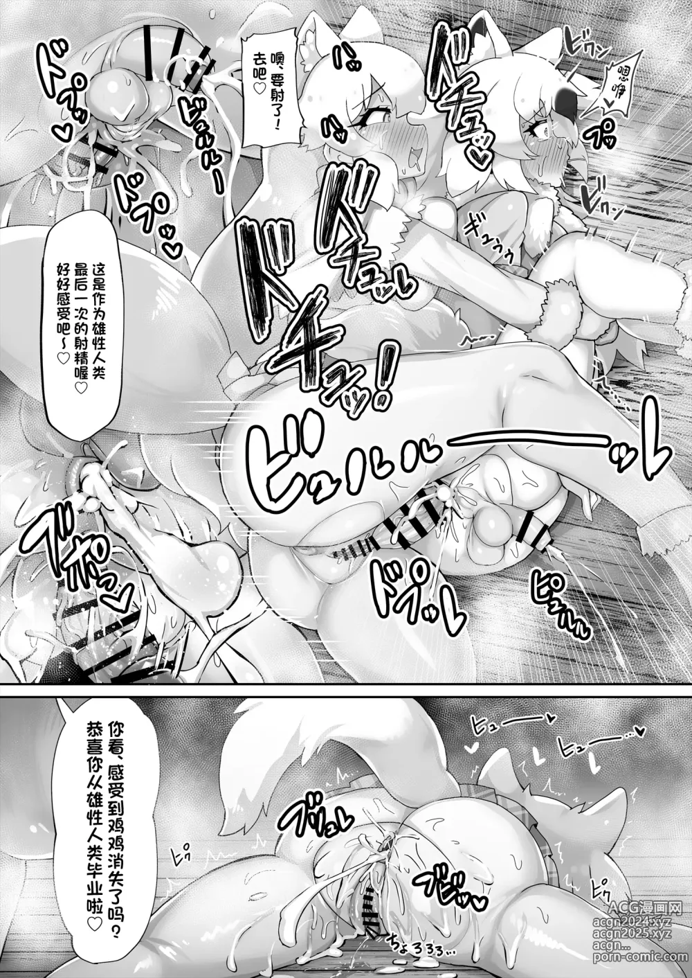 Page 29 of doujinshi Kemono Sauna 2