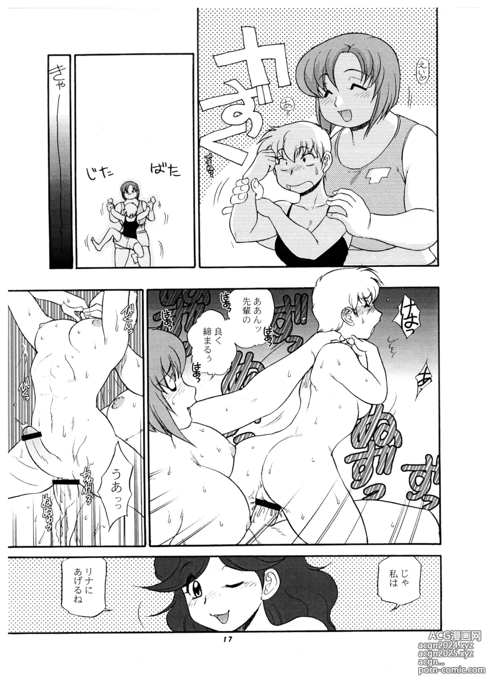 Page 17 of doujinshi Momo-an 21