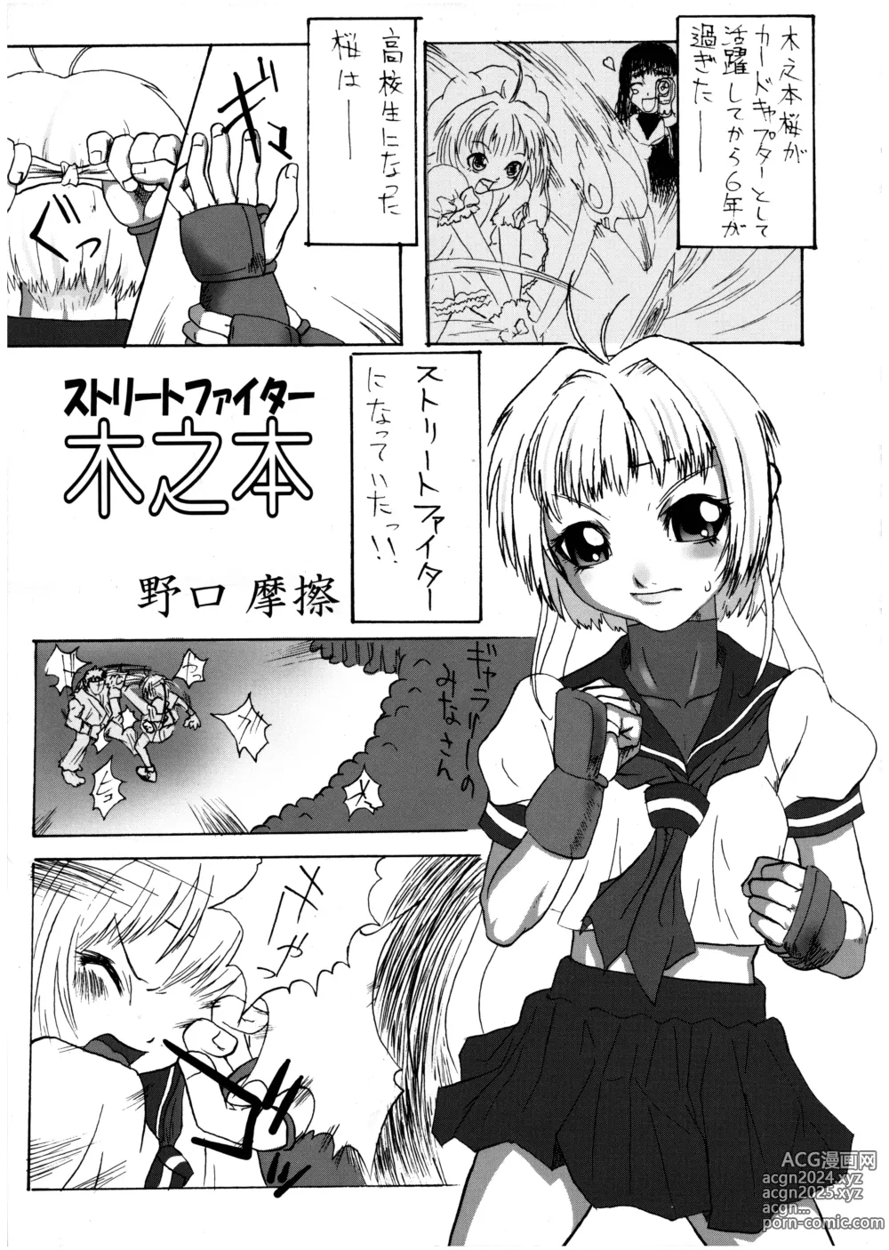 Page 41 of doujinshi Sakura PIPER