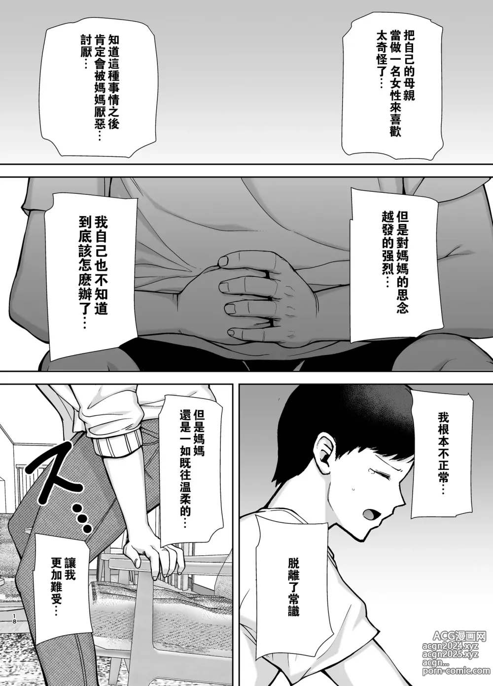 Page 17 of doujinshi 僕の母さんで、僕の好きな人1