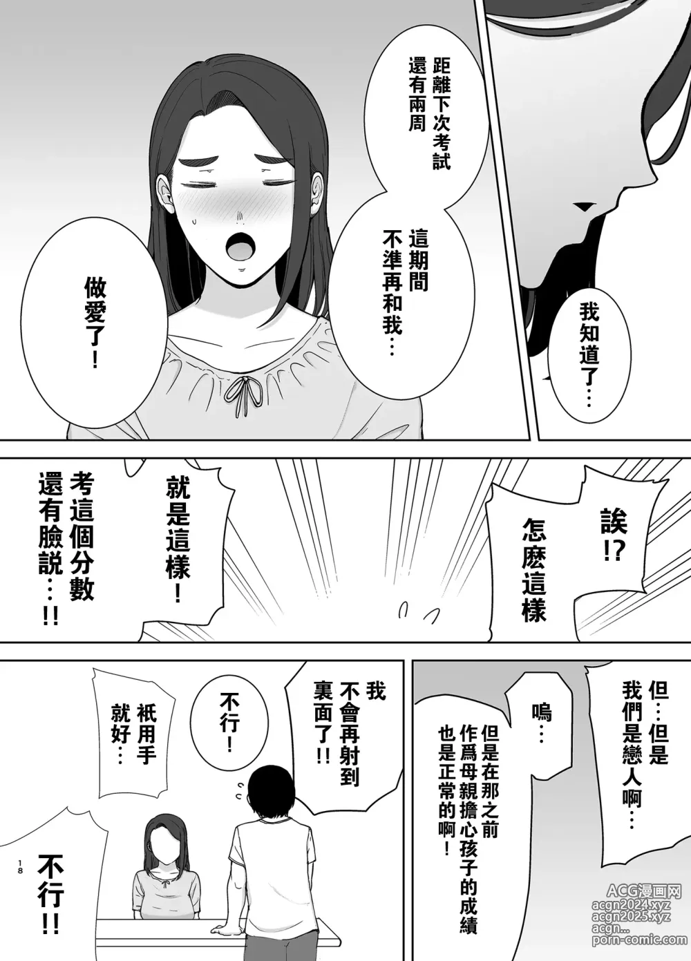 Page 17 of doujinshi 僕の母さんで、僕の好きな人2