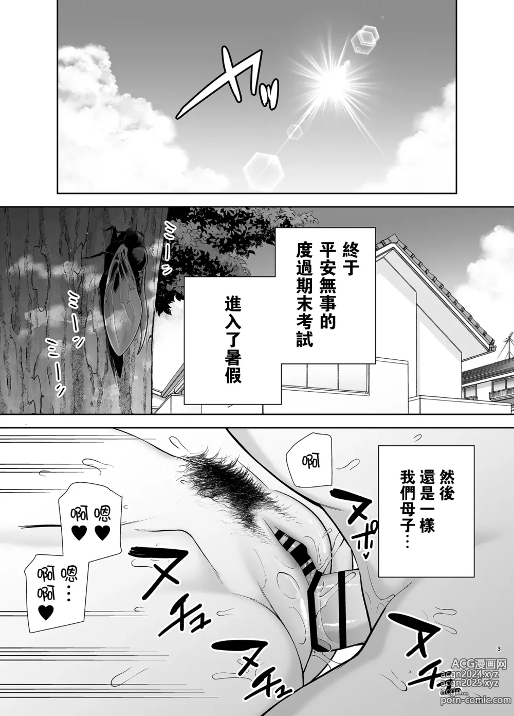 Page 2 of doujinshi 僕の母さんで、僕の好きな人3