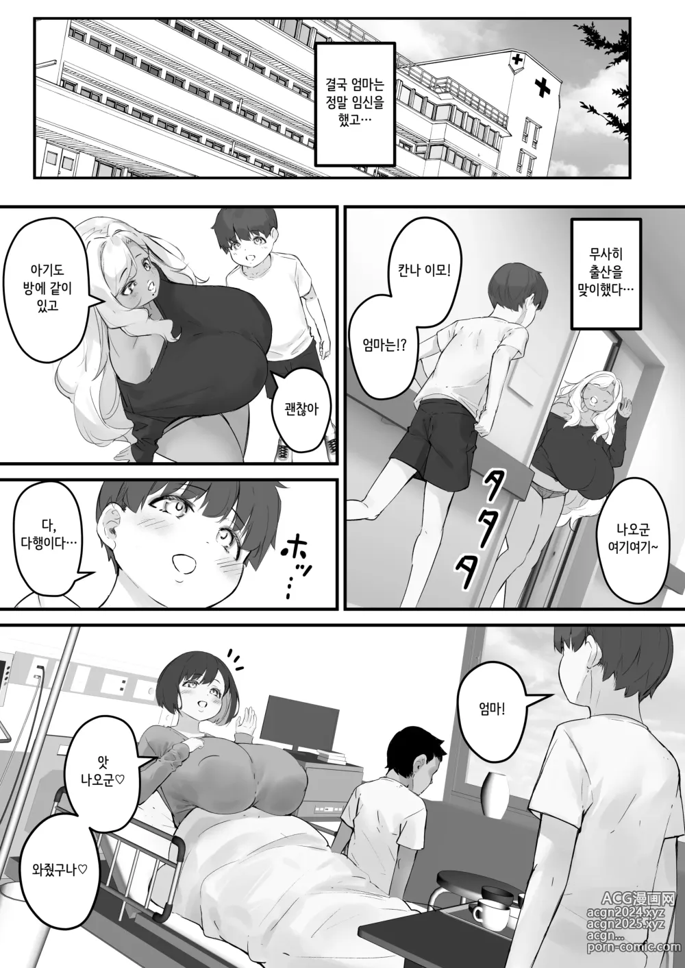 Page 29 of doujinshi 네토라레 엄마 - 엄마가 그 녀석의 육변기가 된 날 4