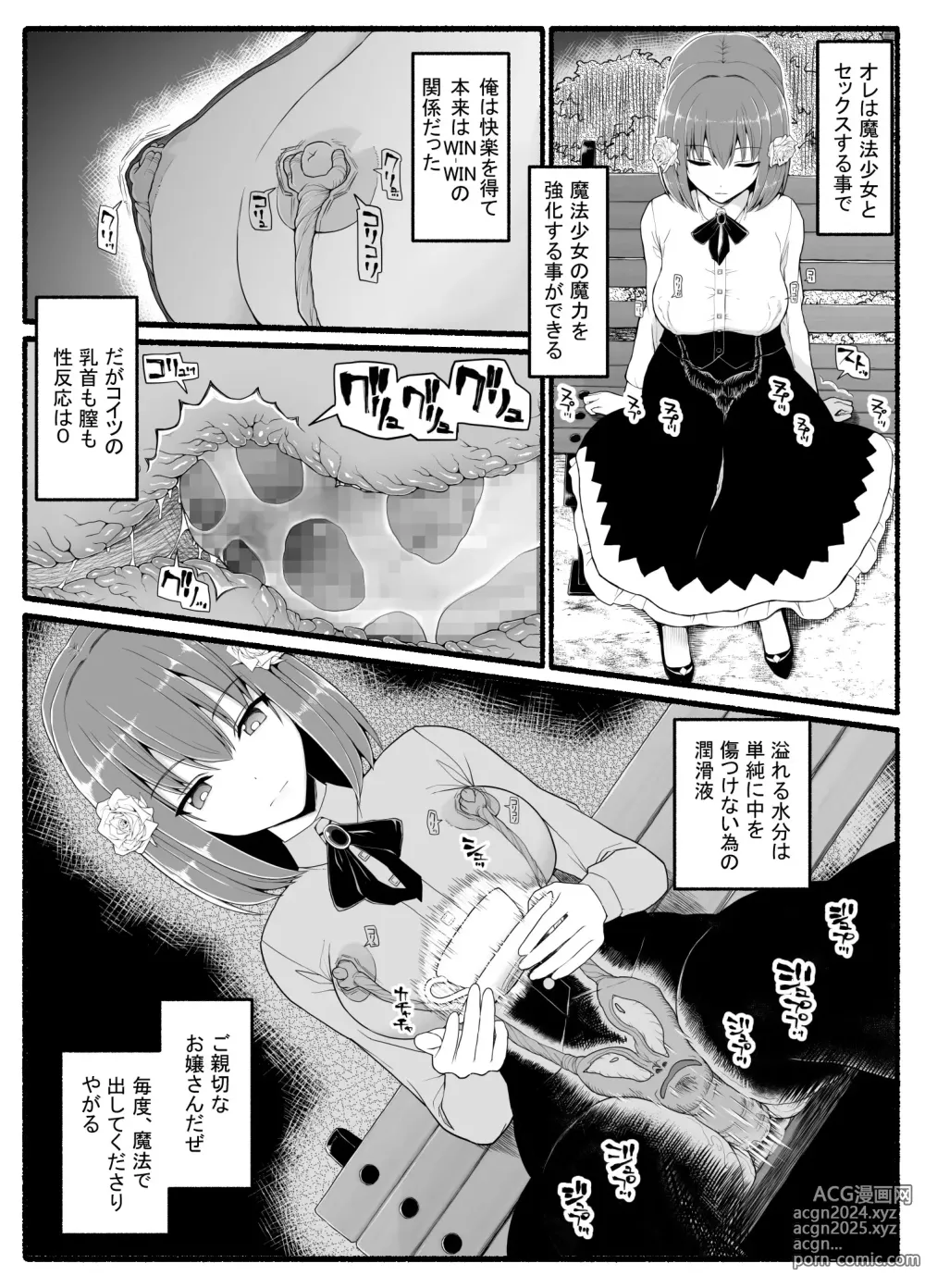 Page 9 of doujinshi Mahou Shoujo VS Inma Seibutsu 24