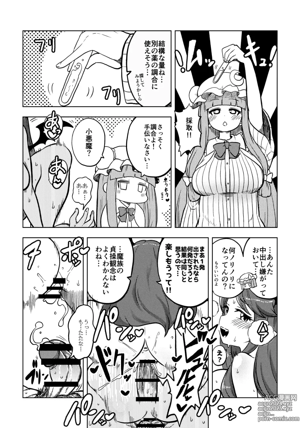 Page 24 of doujinshi skeb na Gensou Shoujo Shuu