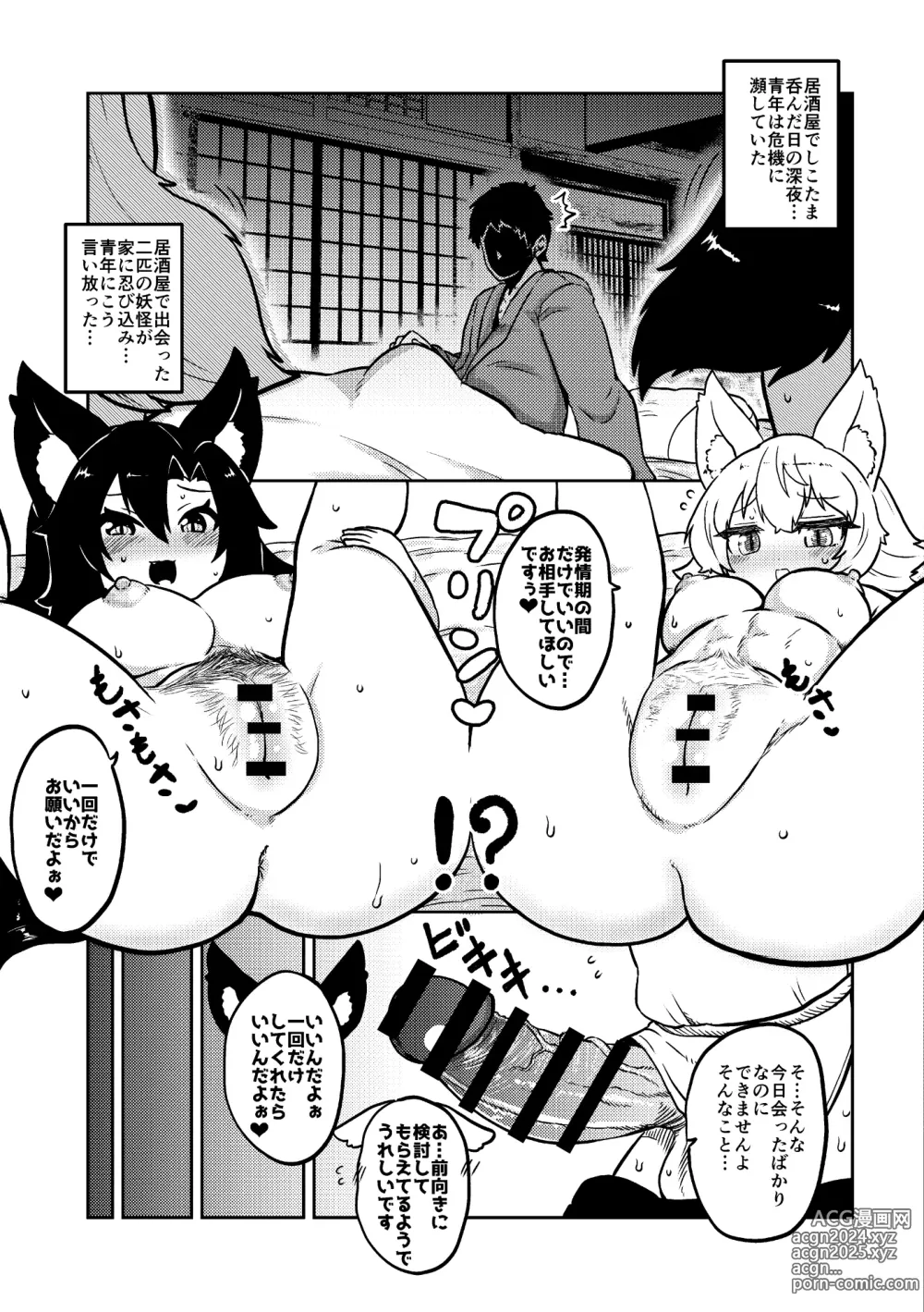 Page 55 of doujinshi skeb na Gensou Shoujo Shuu 2