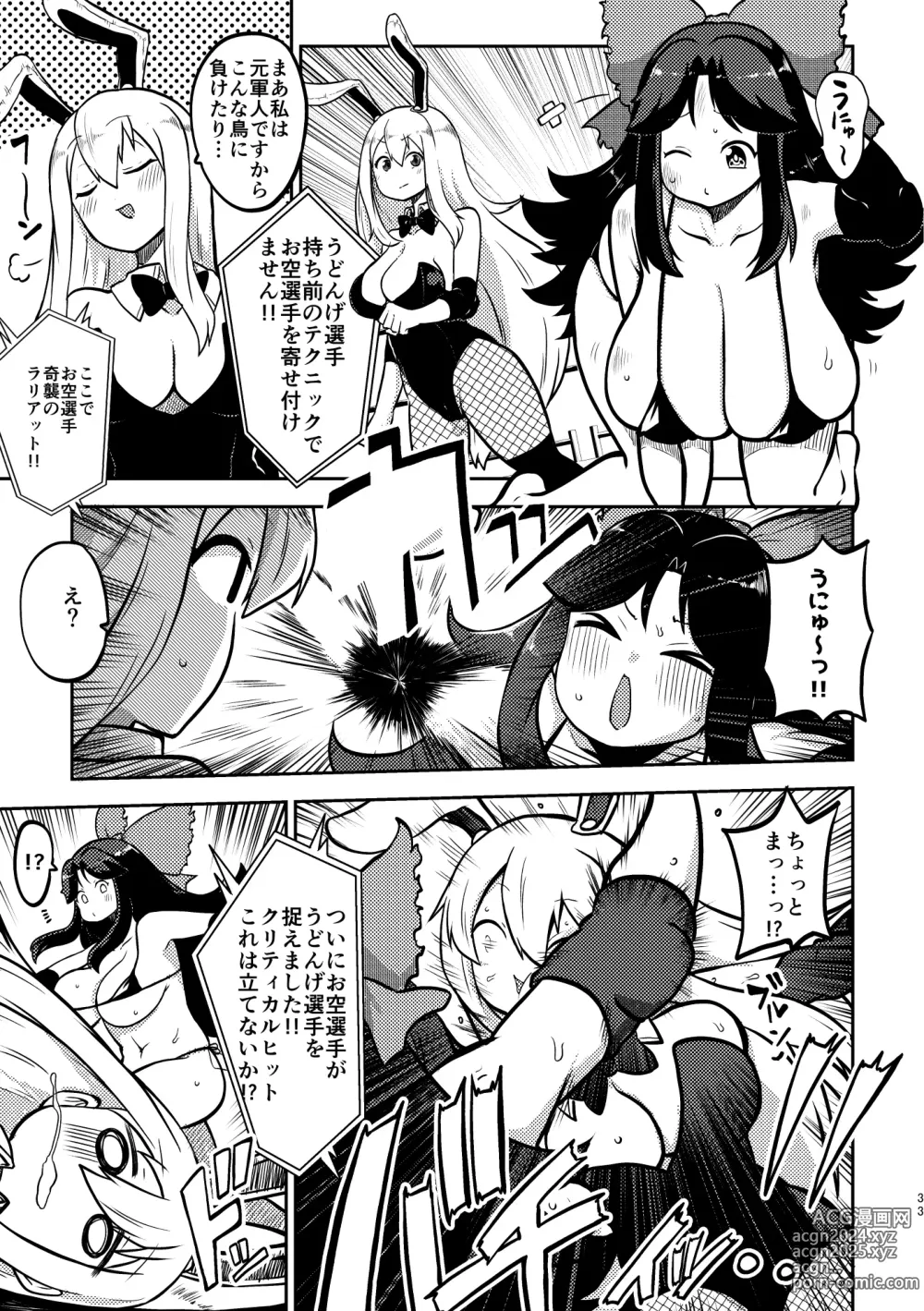 Page 31 of doujinshi skeb na Gensou Shoujo Shuu 3