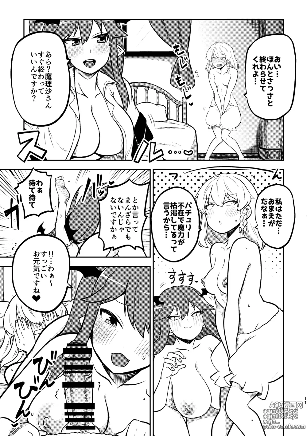 Page 9 of doujinshi skeb na Gensou Shoujo Shuu 3