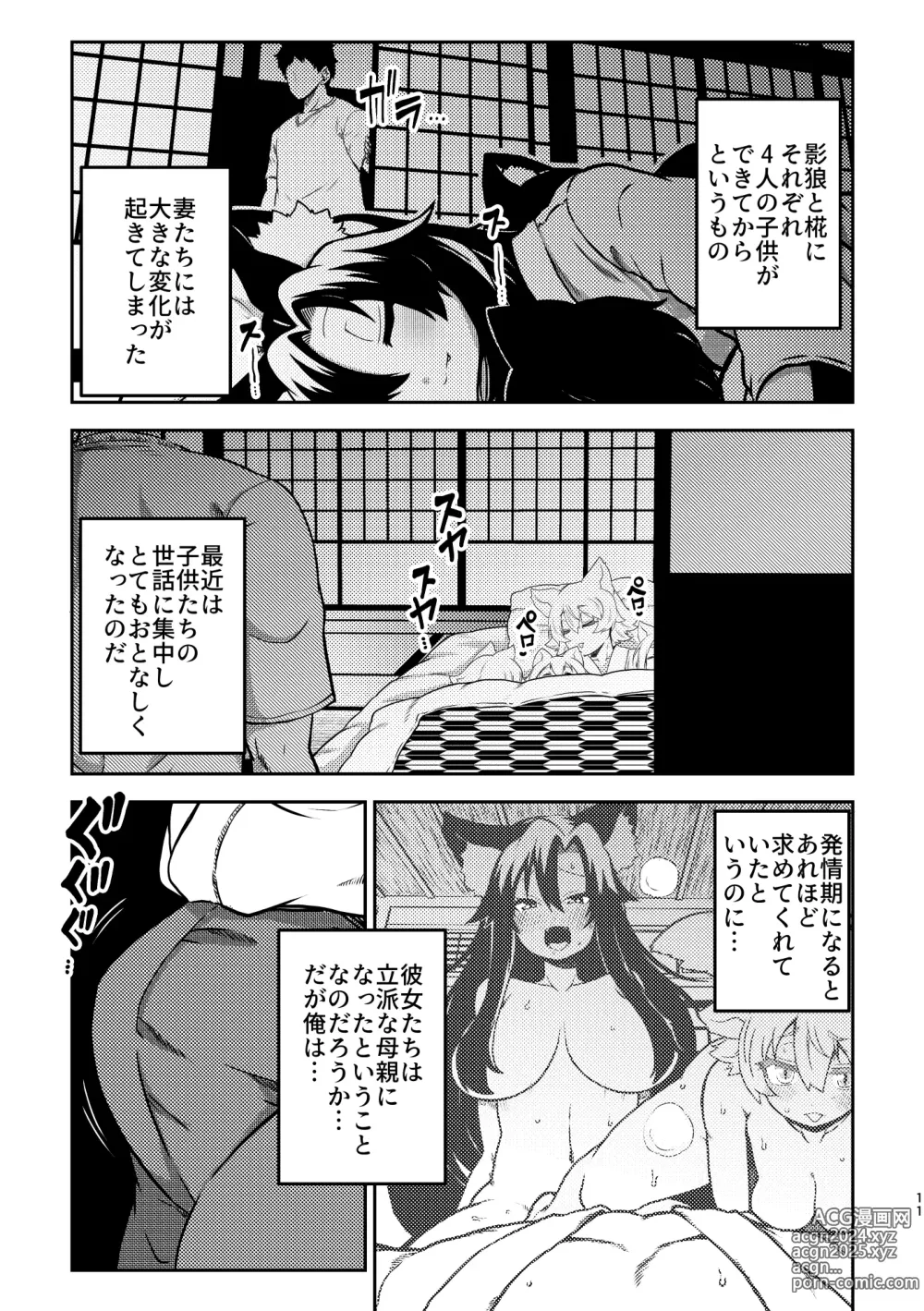 Page 9 of doujinshi skeb na Gensou Shoujo Shuu 4