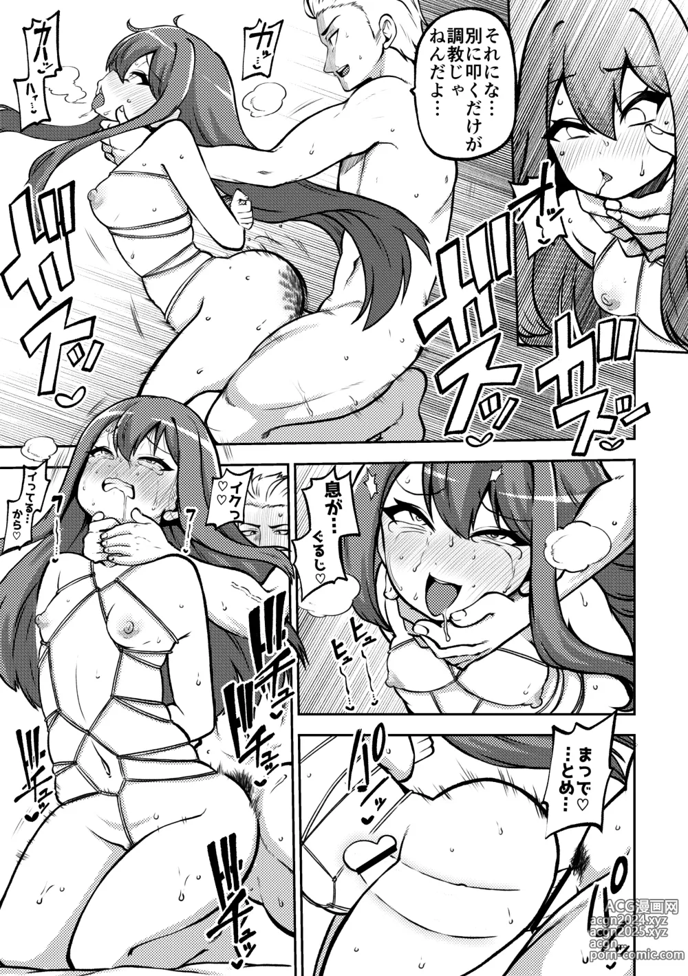 Page 29 of doujinshi skeb na Gensou Shoujo Shuu 6