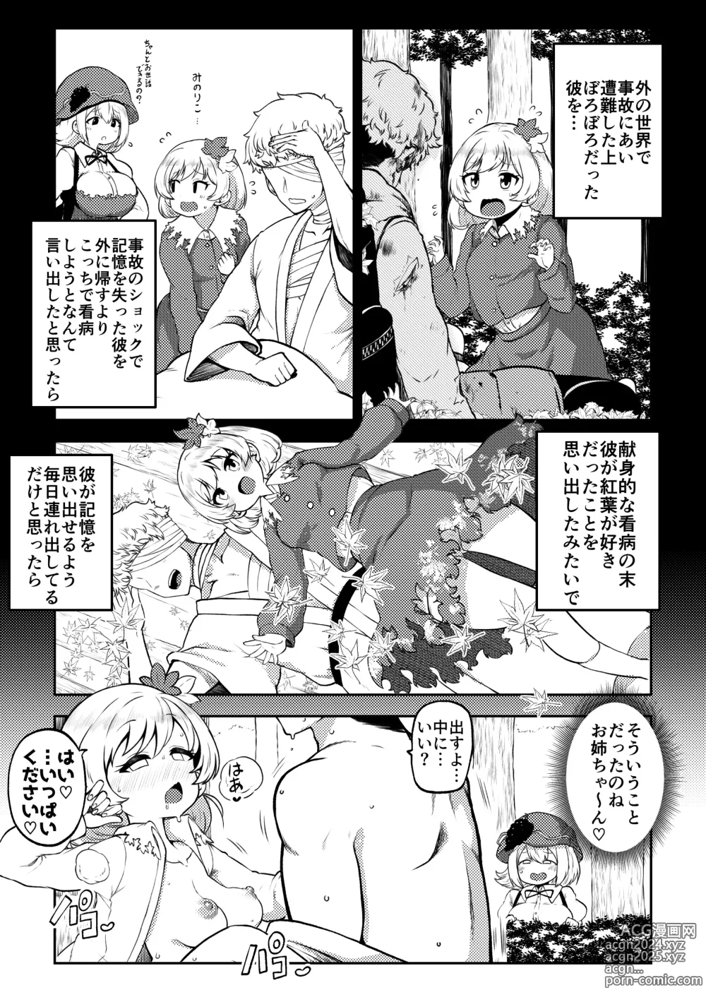 Page 73 of doujinshi skeb na Gensou Shoujo Shuu 6