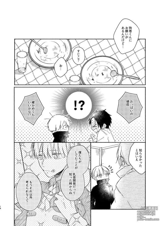 Page 13 of doujinshi Secret.