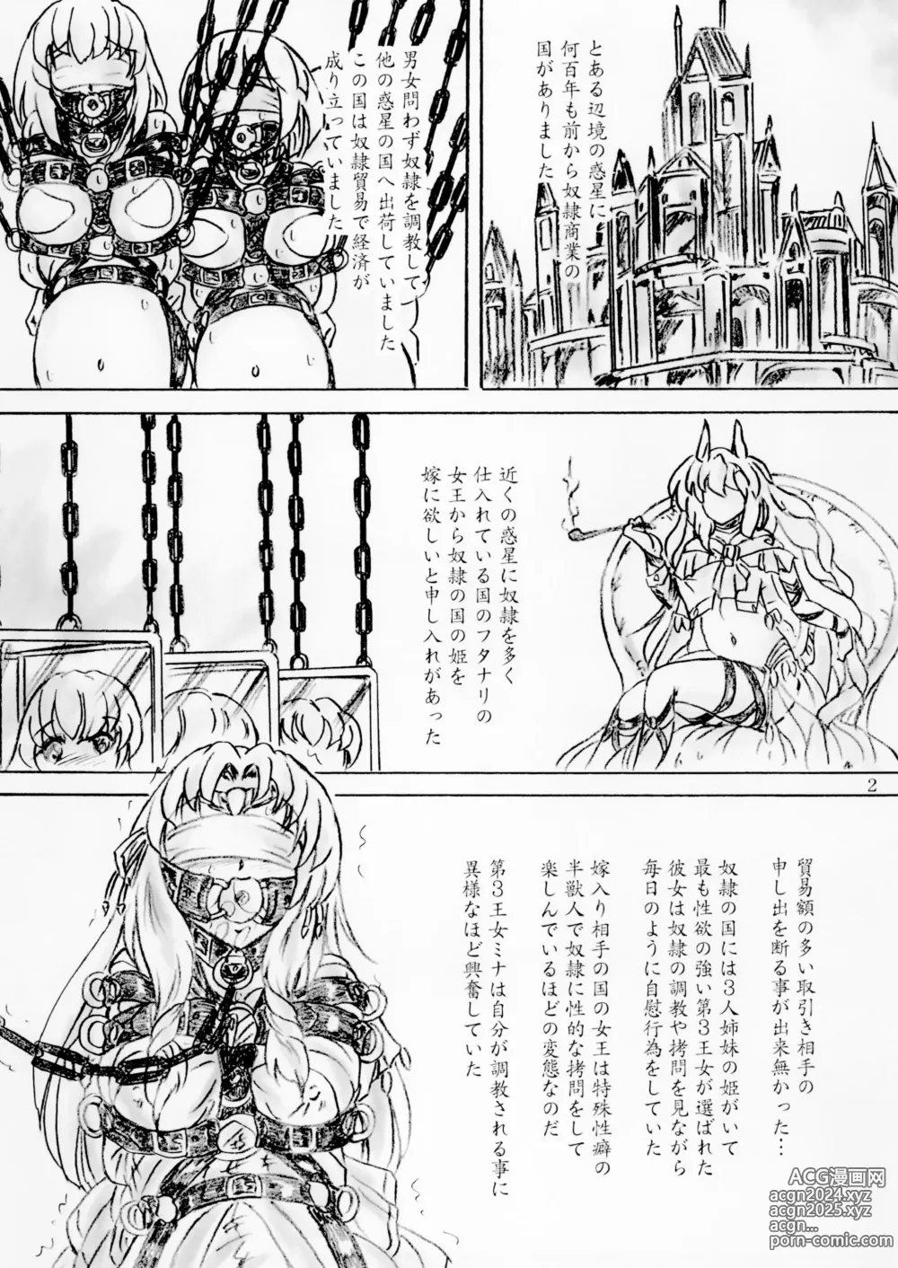 Page 2 of doujinshi Dorei no Kuni no Hime no Yomeiri