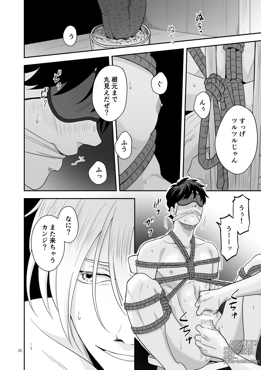 Page 37 of doujinshi Plus Minus Zero