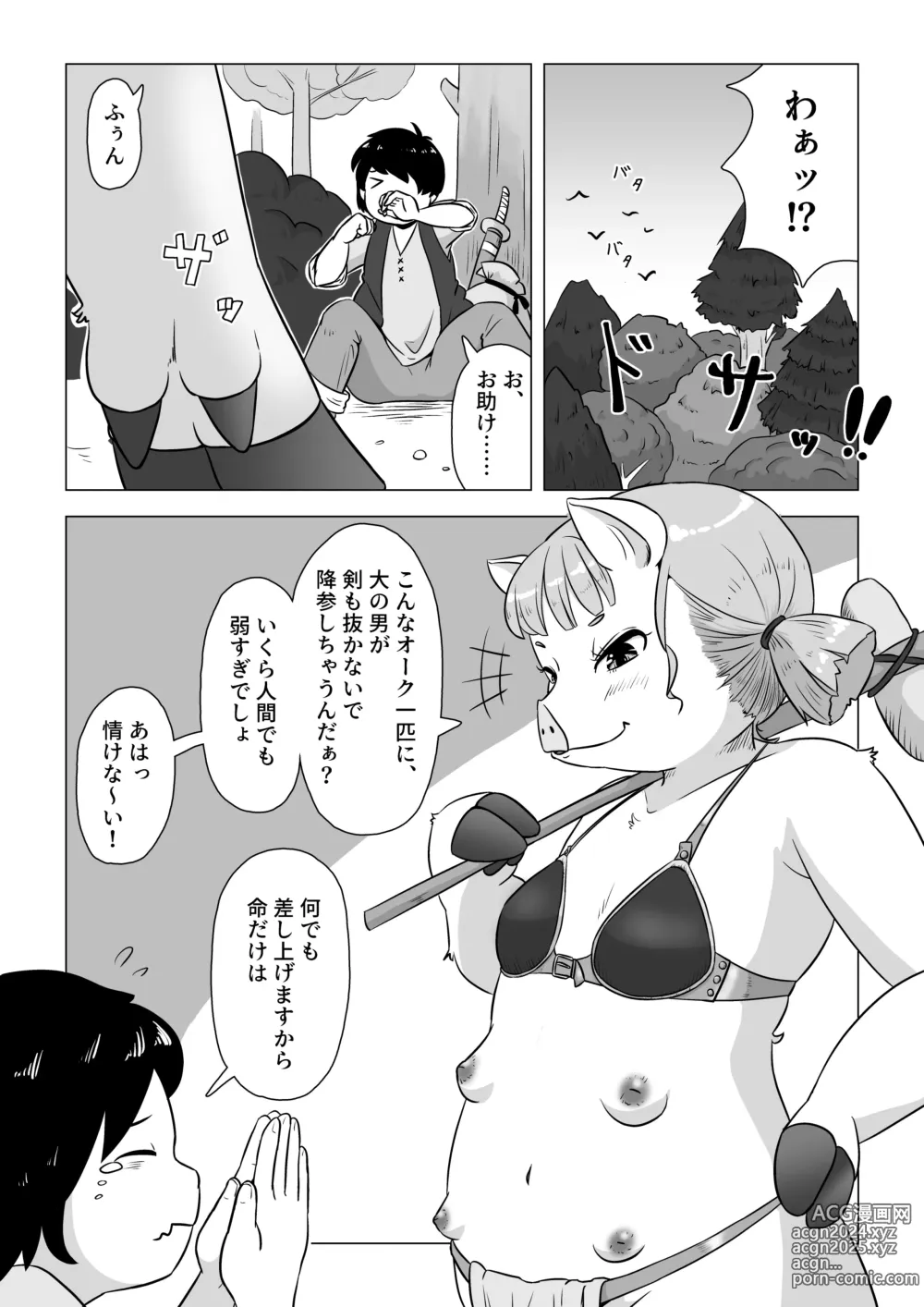 Page 2 of doujinshi ひよっこオークの初戦果