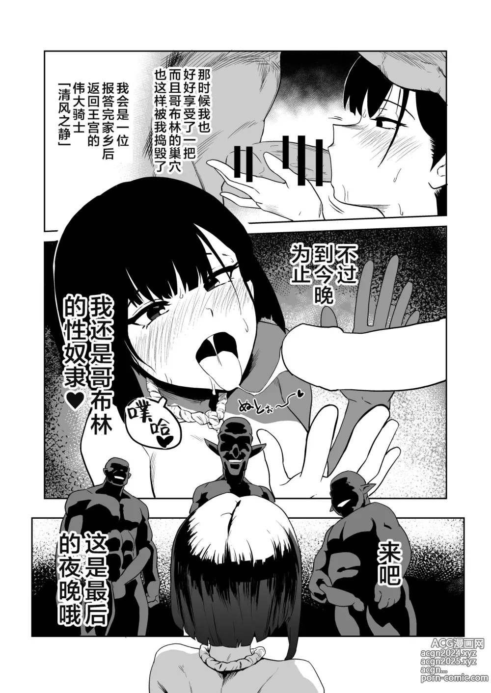 Page 25 of doujinshi 目的就是为了被杂鱼强奸的受虐狂女骑士真的被奸成哥布林奴隶的故事 前篇