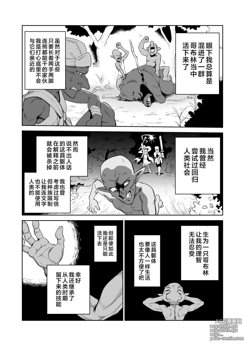 Page 5 of doujinshi 目的就是为了被杂鱼强奸的受虐狂女骑士真的被奸成哥布林奴隶的故事 前篇