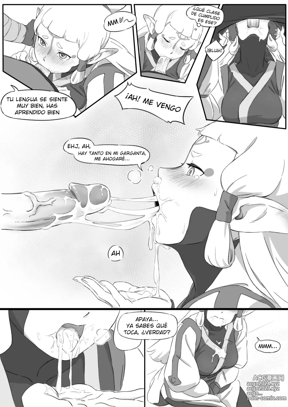 Page 13 of doujinshi La leyenda del deseo en Hyrule