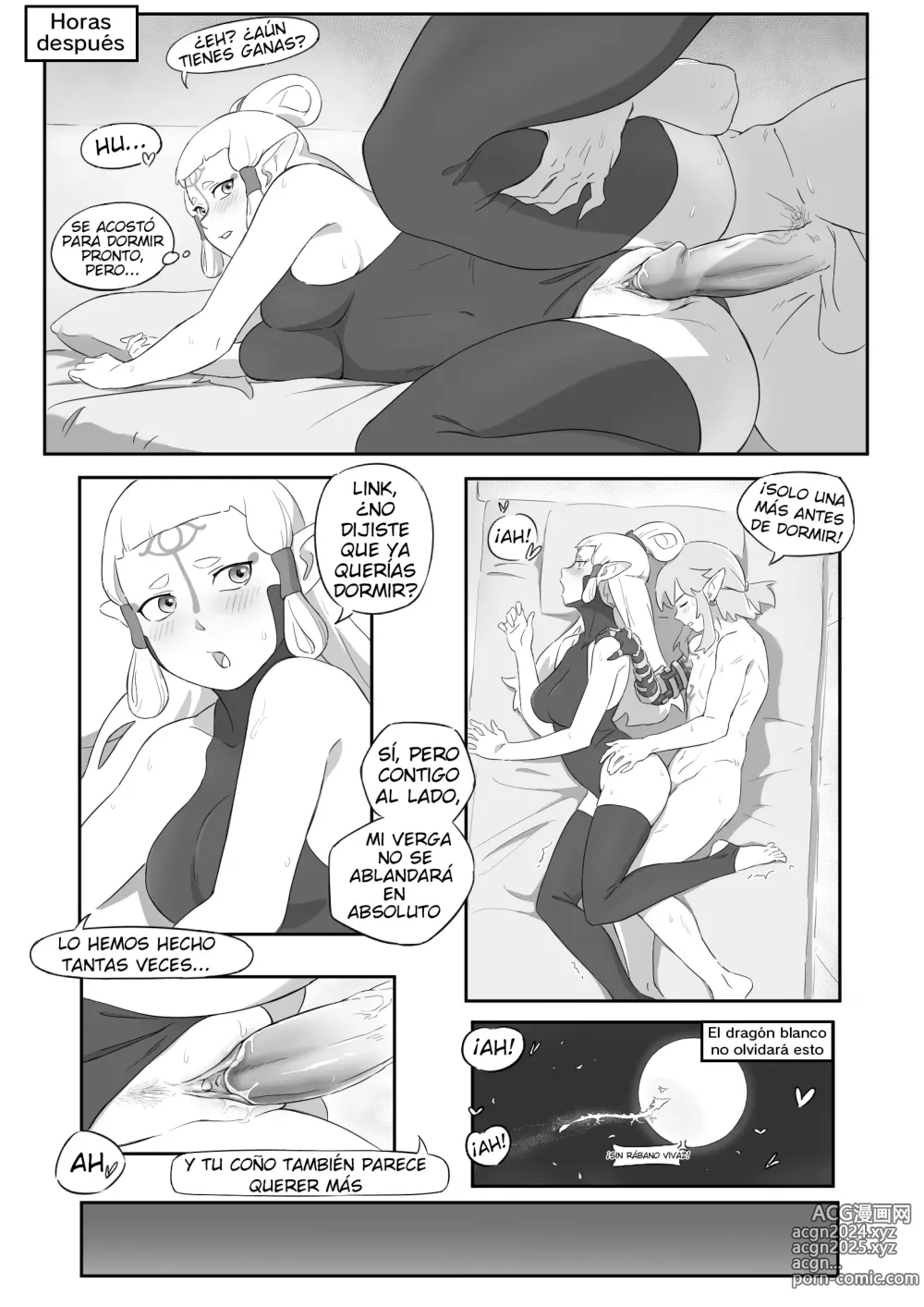 Page 21 of doujinshi La leyenda del deseo en Hyrule