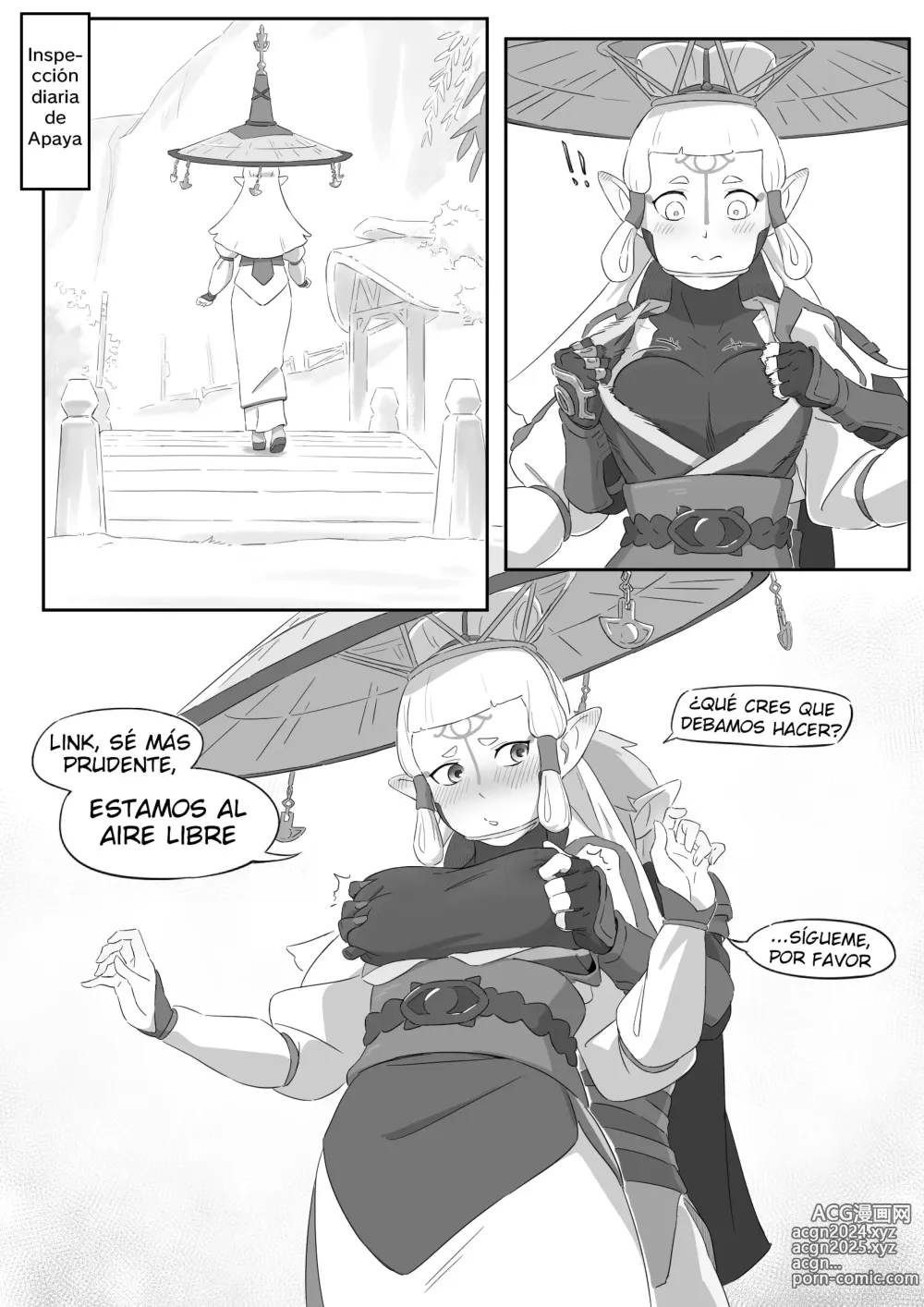 Page 23 of doujinshi La leyenda del deseo en Hyrule