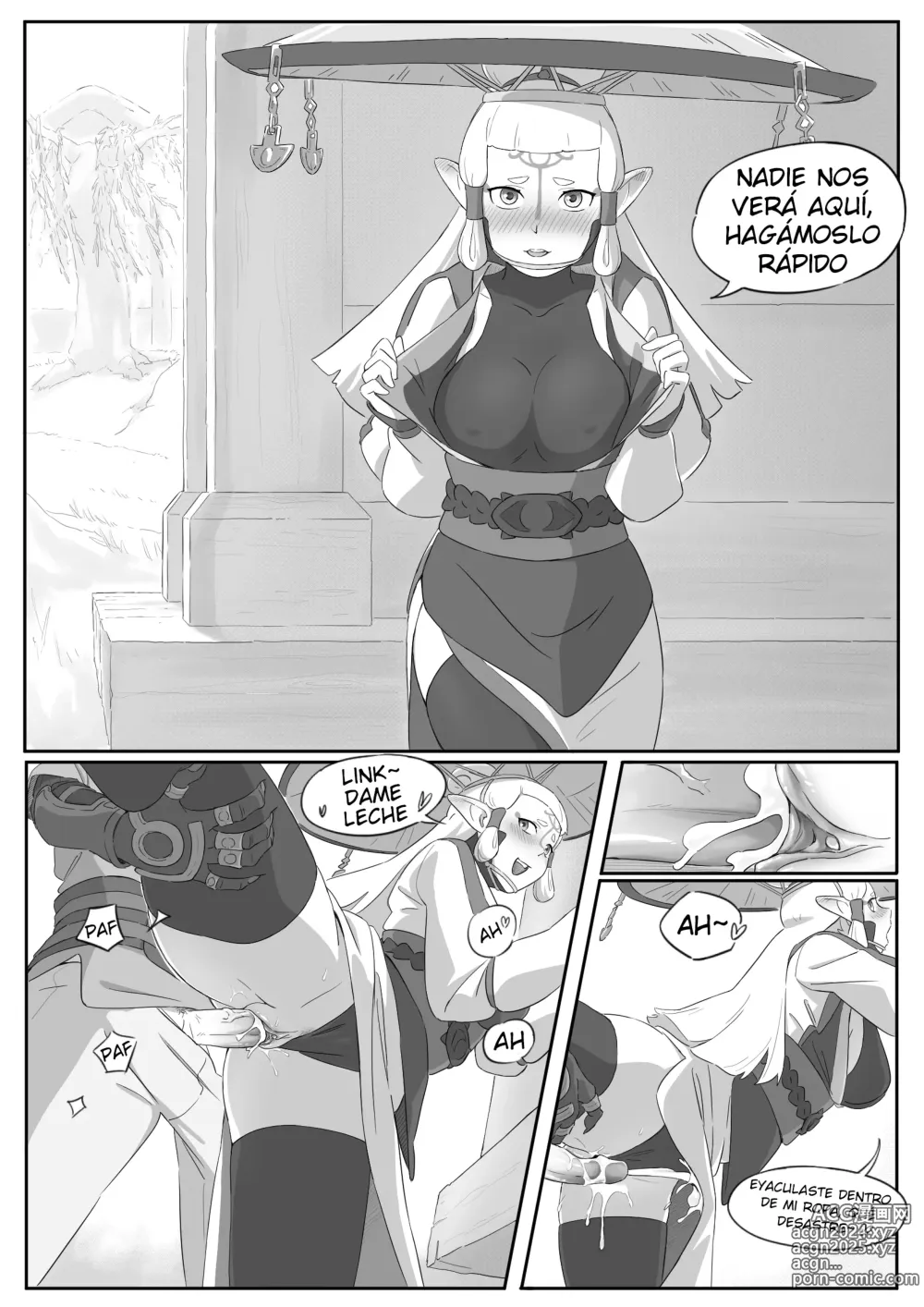 Page 24 of doujinshi La leyenda del deseo en Hyrule