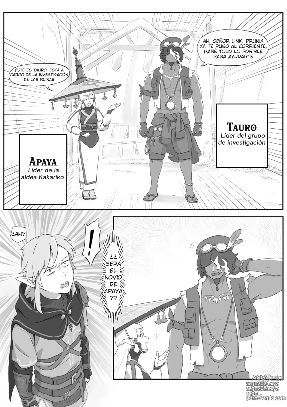 Page 5 of doujinshi La leyenda del deseo en Hyrule