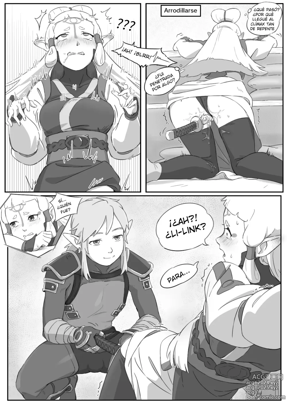 Page 9 of doujinshi La leyenda del deseo en Hyrule