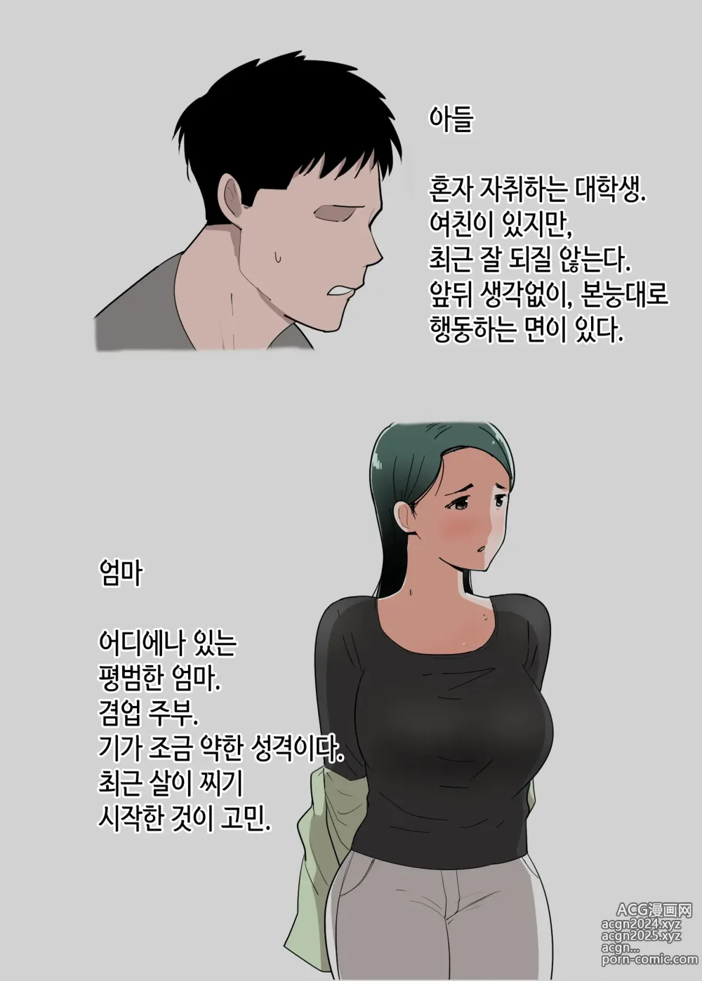 Page 3 of doujinshi 엄마와 섹스한 기분은 어때?