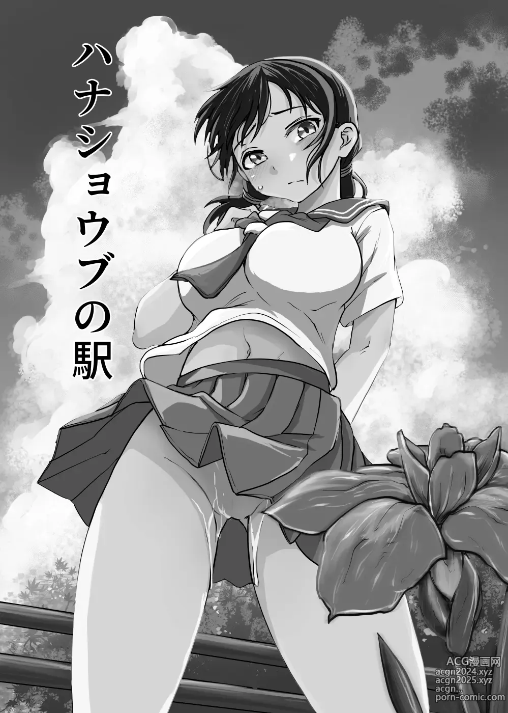 Page 3 of doujinshi Hanashoubu no Eki