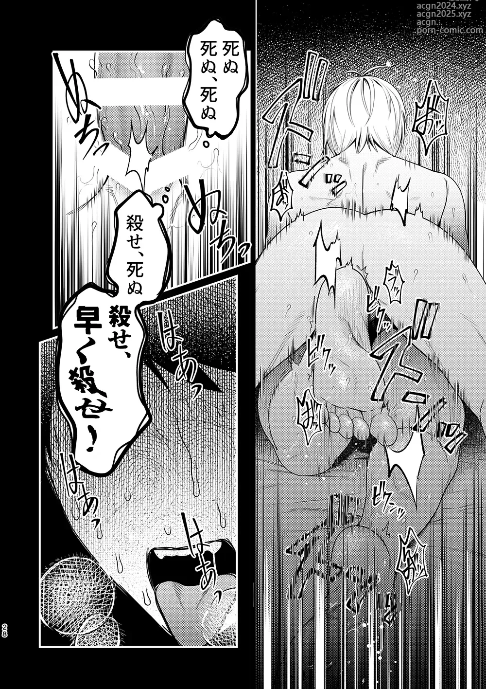 Page 26 of doujinshi Hakuen to Kokuen