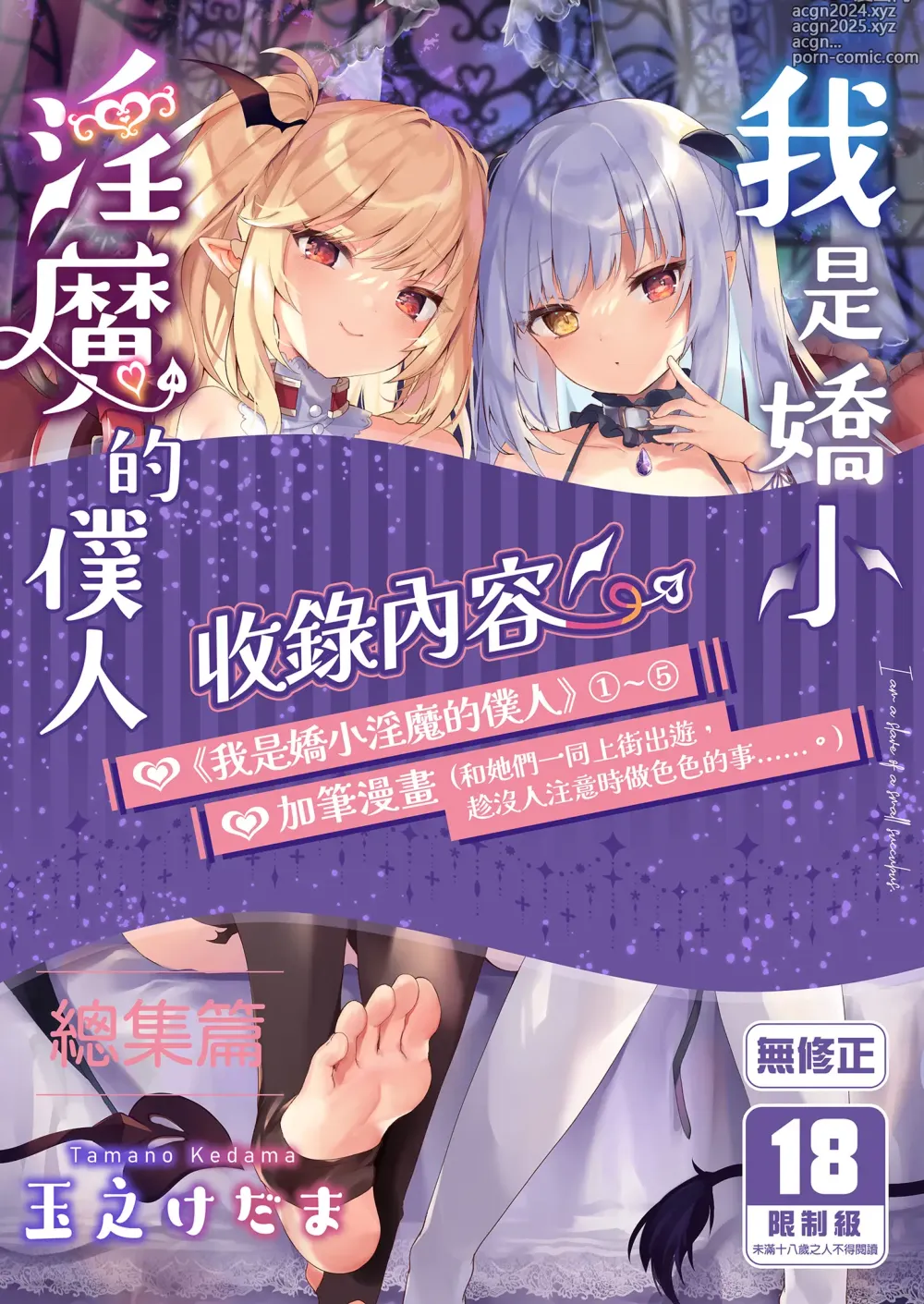 Page 1 of doujinshi 我是嬌小淫魔的僕人 總集篇 (decensored)