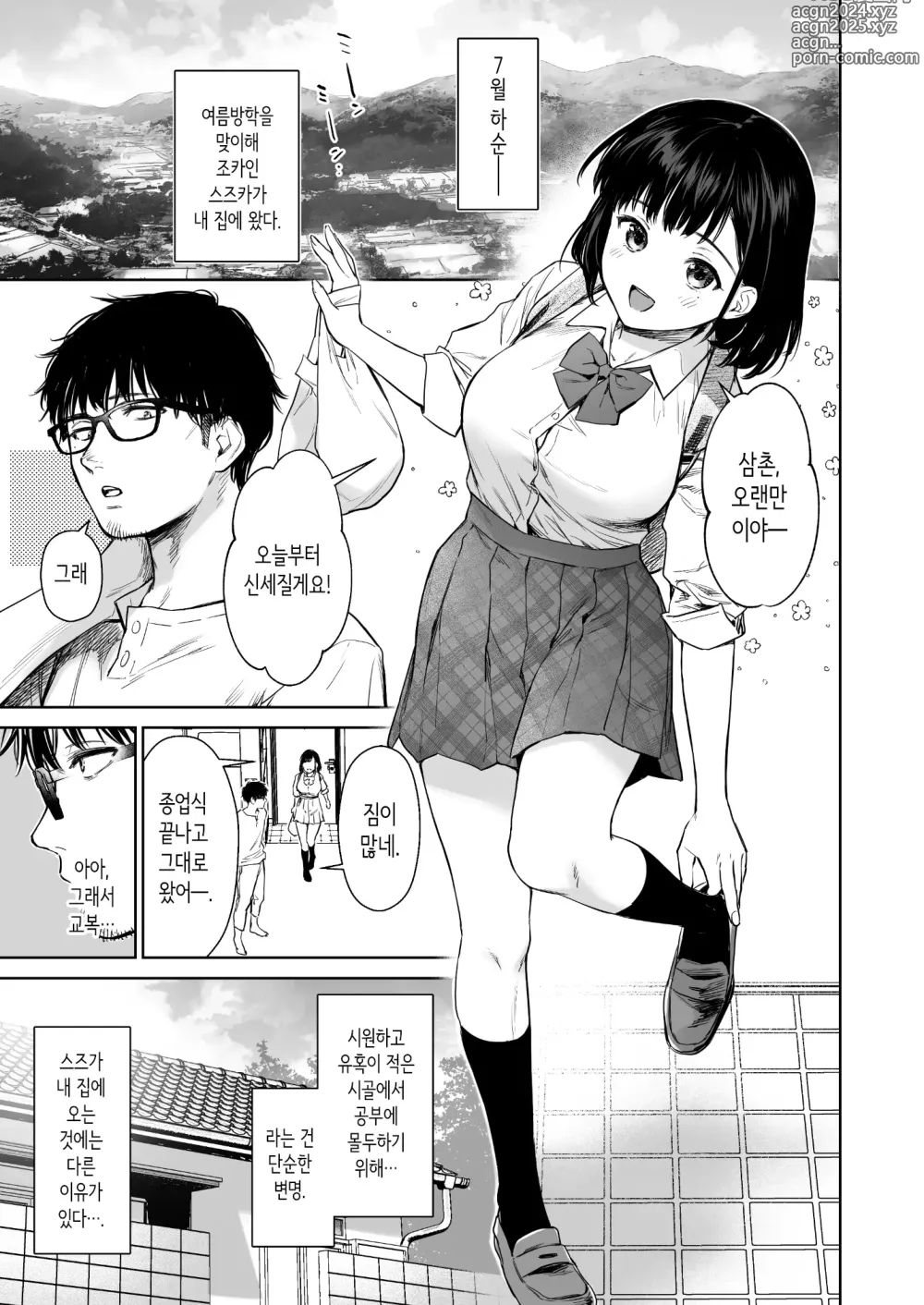 Page 3 of doujinshi 어느 여름, 조카와 단둘이서.