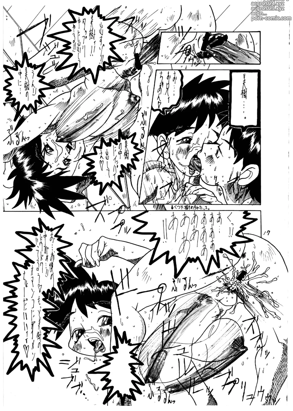 Page 17 of doujinshi Momo-an Vol. 1