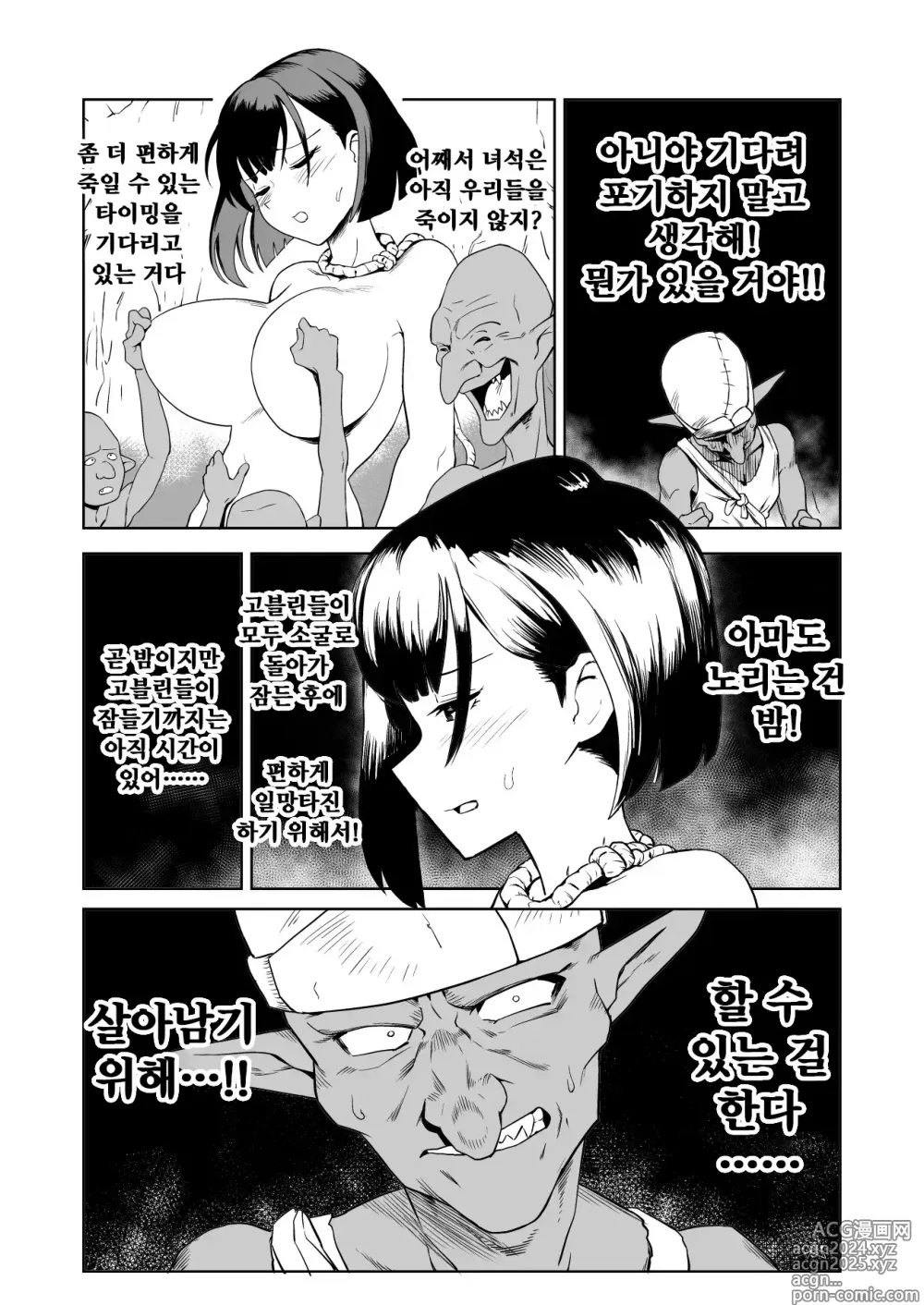 Page 18 of doujinshi 잡몹간이 목적인 도M 여기사가 정말로 고블린의 성노예가 되는 이야기 전편