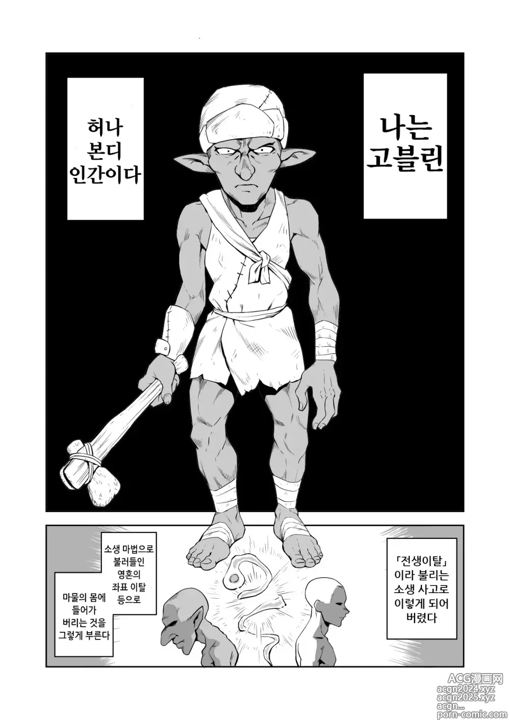 Page 3 of doujinshi 잡몹간이 목적인 도M 여기사가 정말로 고블린의 성노예가 되는 이야기 전편