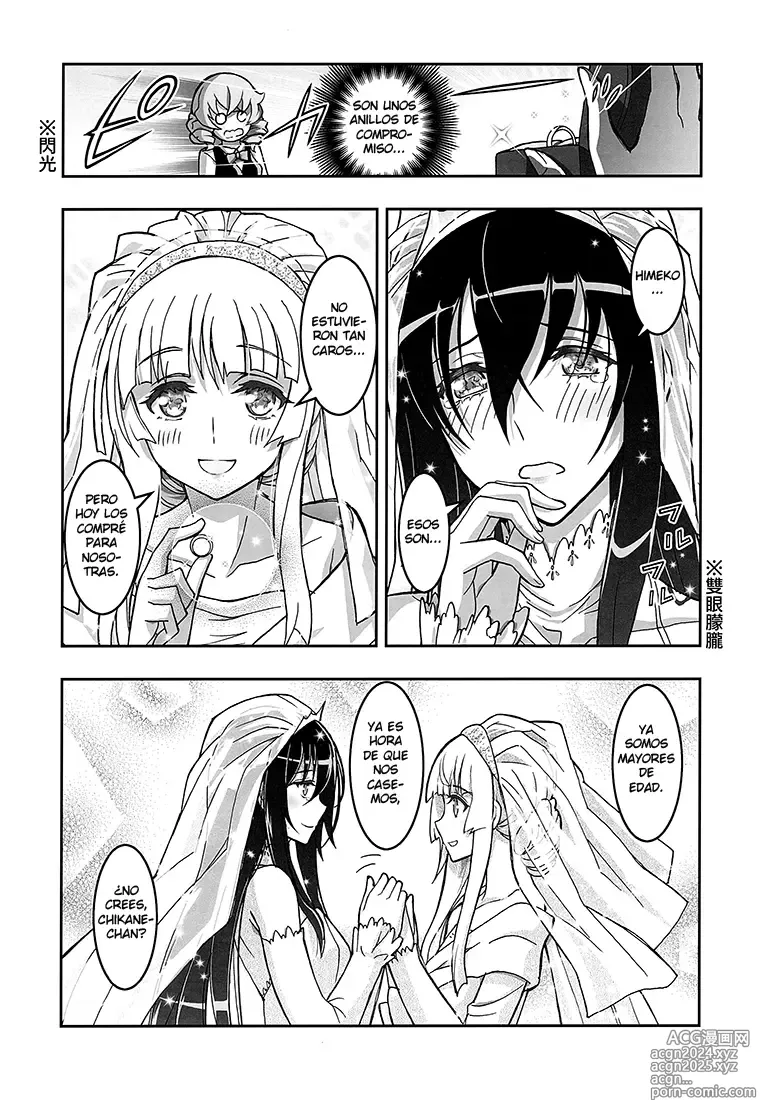 Page 14 of doujinshi HIMEGAMI AFTER