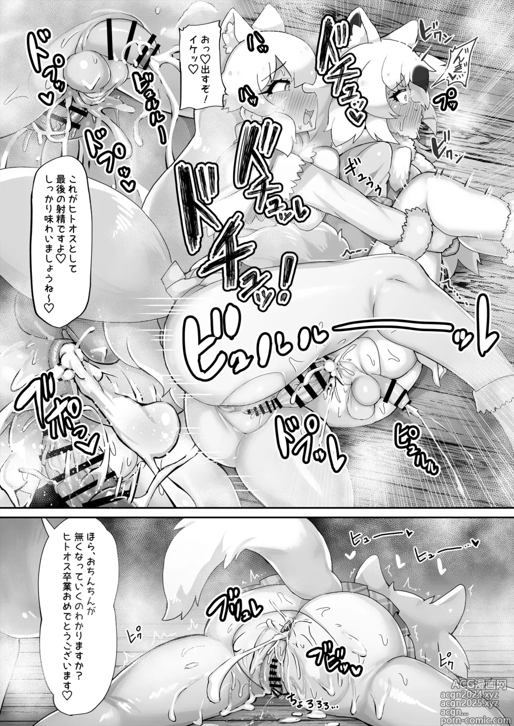 Page 29 of doujinshi Kemono Sauna 2