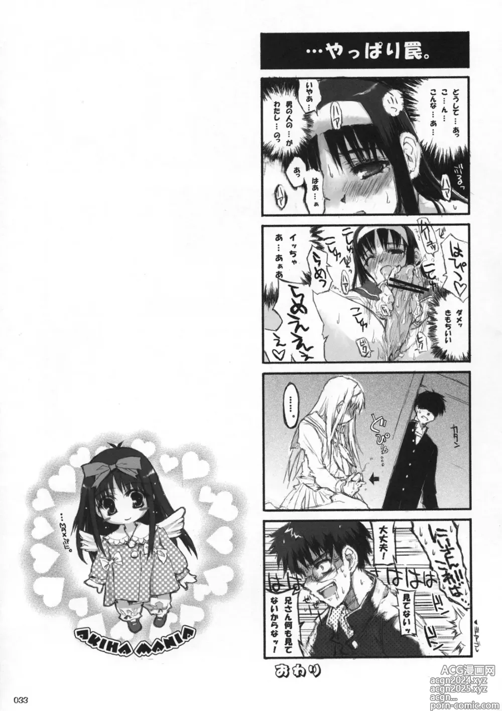 Page 32 of doujinshi AKIHA MANIACS Hantsukiban