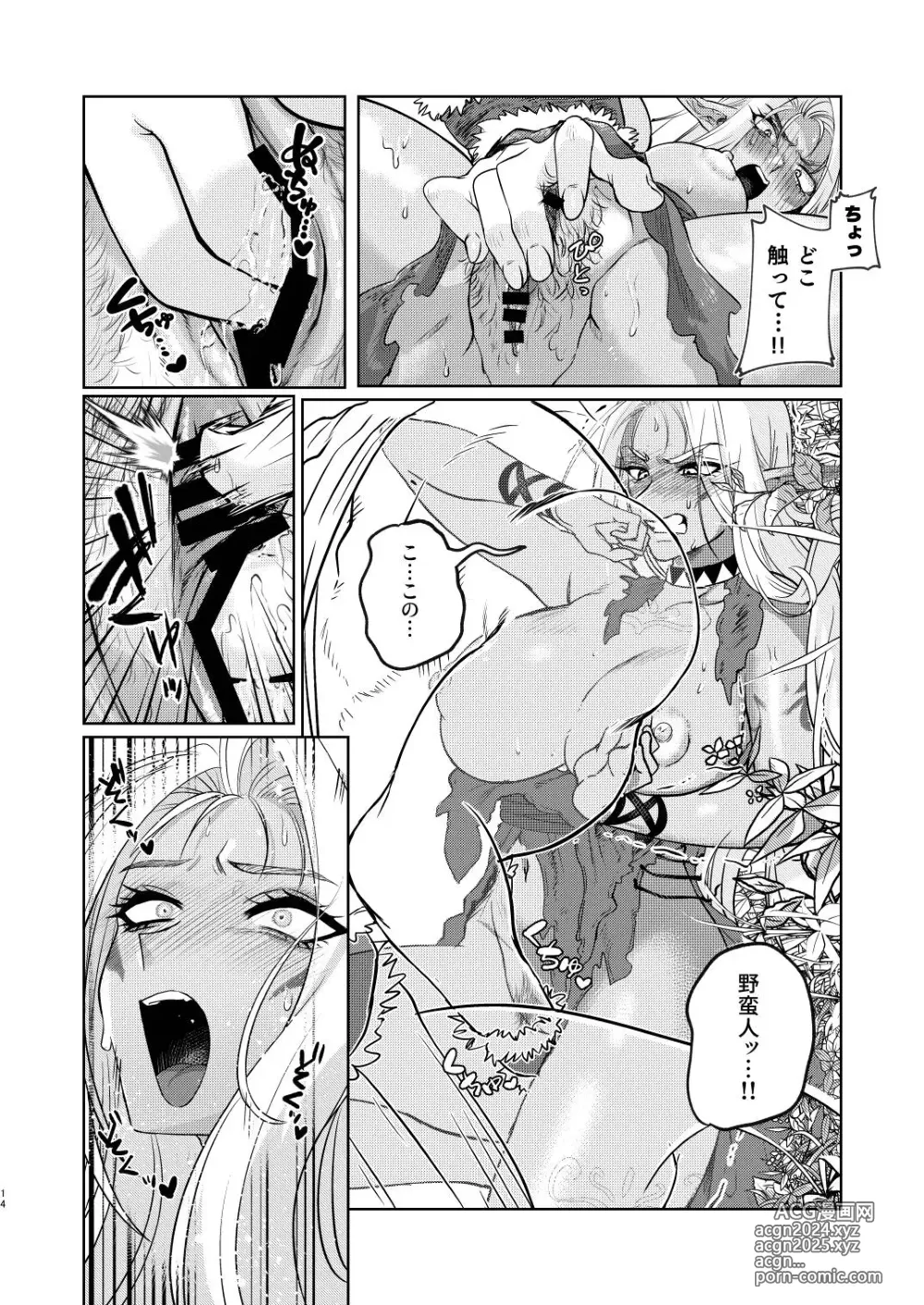 Page 14 of doujinshi Dark Elf wa Aragaenai