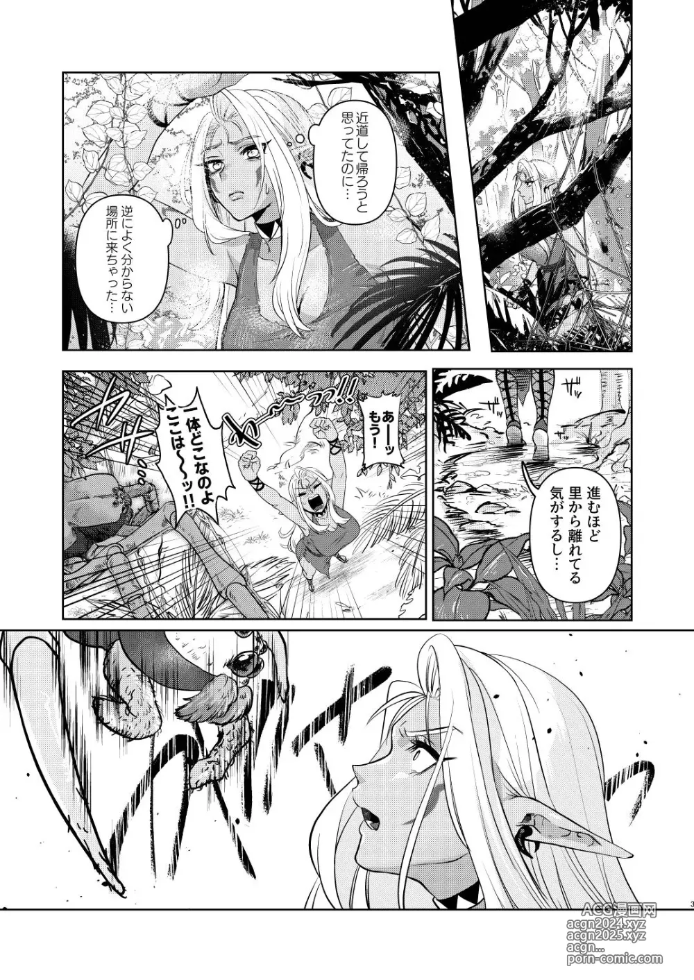 Page 3 of doujinshi Dark Elf wa Aragaenai