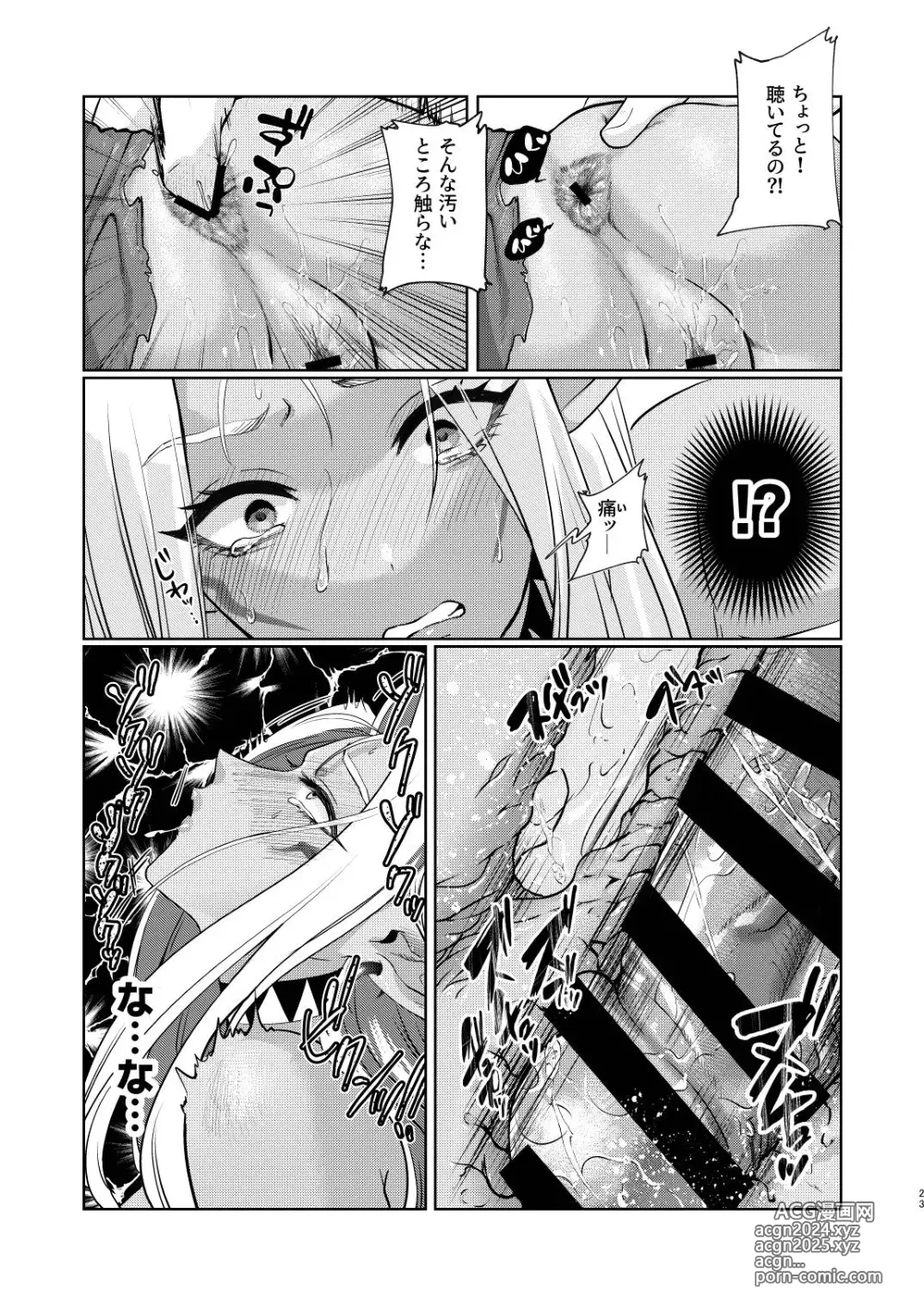 Page 23 of doujinshi Dark Elf wa Aragaenai