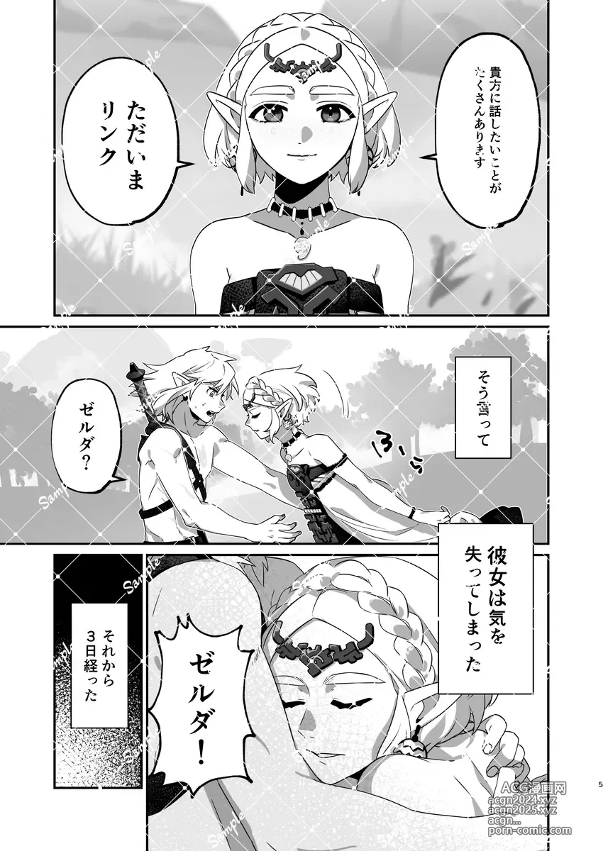 Page 3 of doujinshi ] Q. Nemuri hime no okoshi kata[The Legend of Zelda)