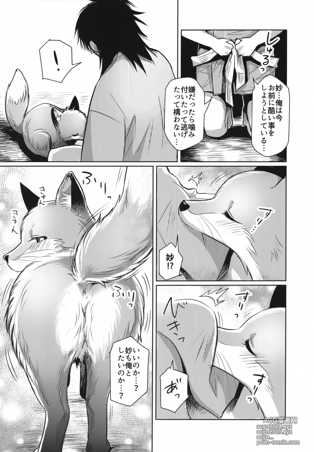 Page 27 of doujinshi Koganegitsune no Gojitsutan