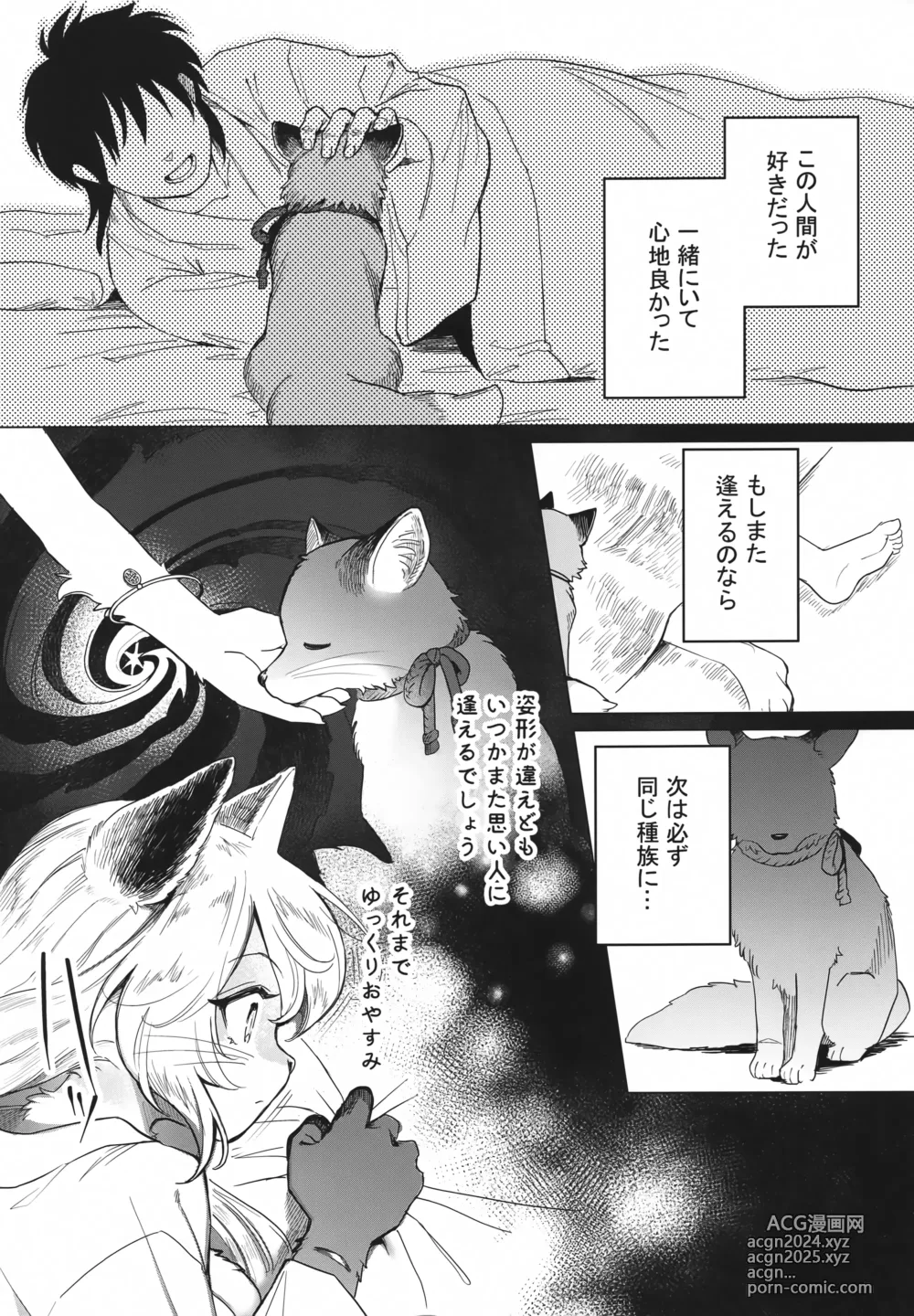 Page 4 of doujinshi Koganegitsune no Gojitsutan