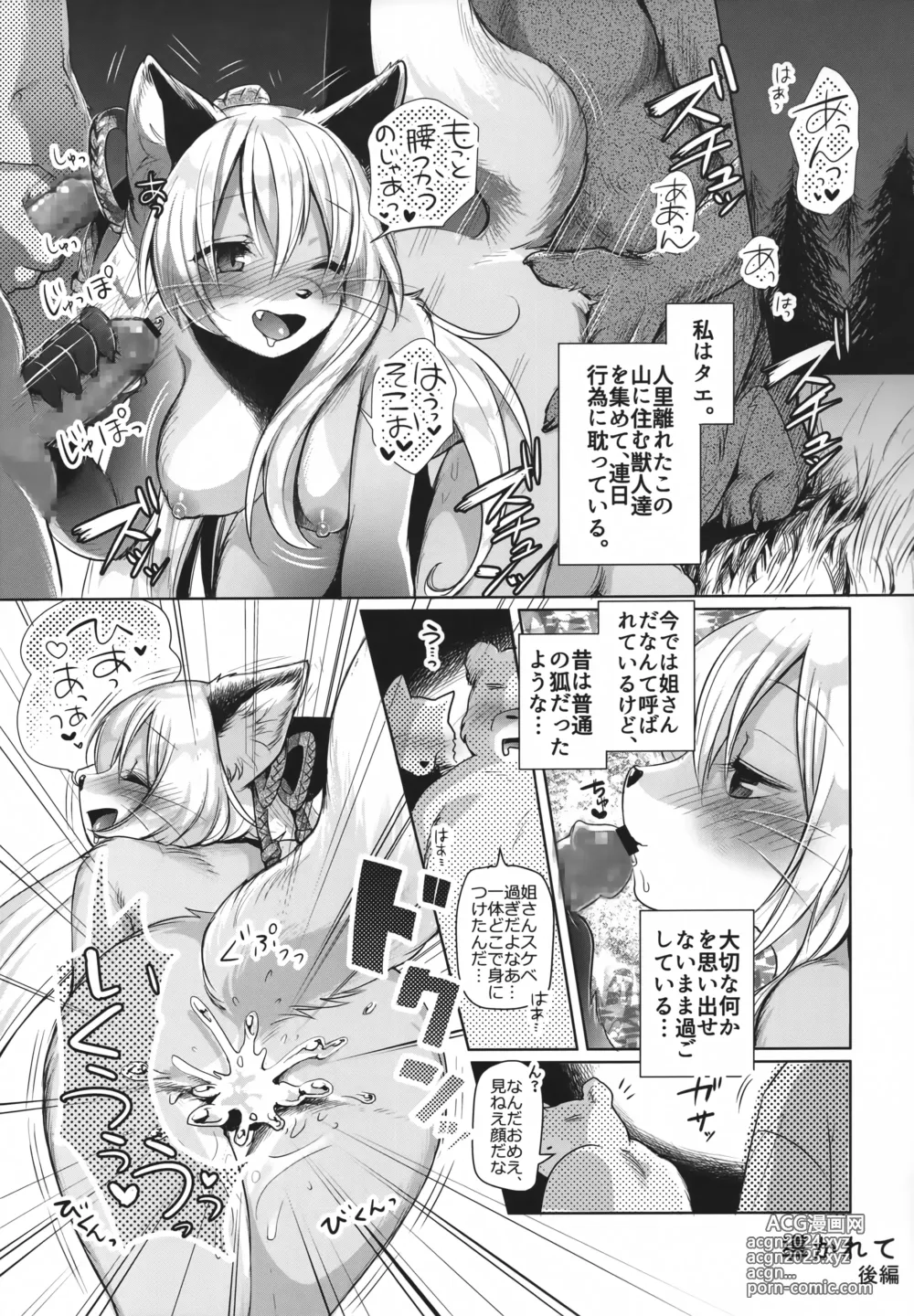 Page 32 of doujinshi Koganegitsune no Gojitsutan